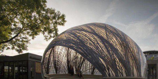 青出于藍 | 仿生建筑的智慧