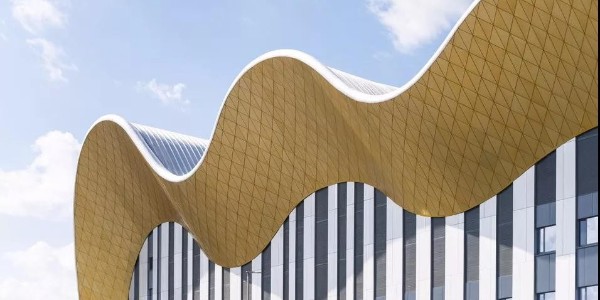 所有圖紙合成一個“超模型”，莫斯科藝術(shù)體操中心設(shè)計(jì)BIM解析