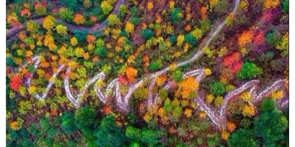 鄉(xiāng)村振興需避免這15個(gè)雷區(qū)！