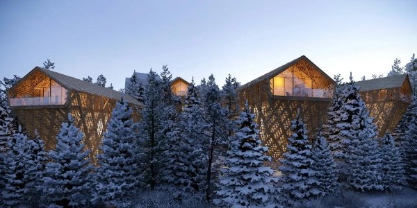 創(chuàng)新下的樹屋，太治愈了！