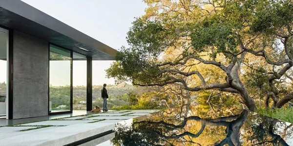 會種樹，讓設(shè)計具有高級感！