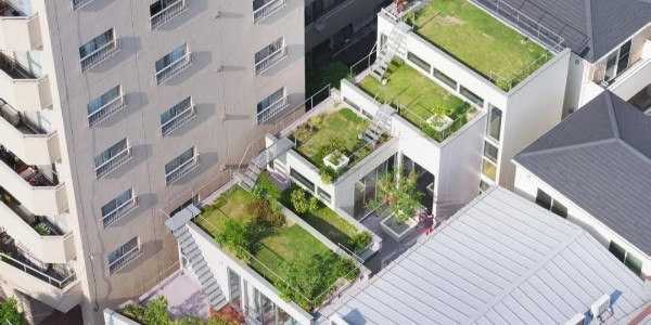 創(chuàng)造‘綠色’，東京層疊花園宅 / MAMM DESIGN