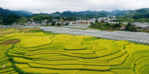 六部門(mén)聯(lián)合印發(fā)《中央財(cái)政銜接推進(jìn)鄉(xiāng)村振興補(bǔ)助資金管理辦法》