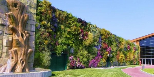 驚艷極了，還能這樣做綠化？