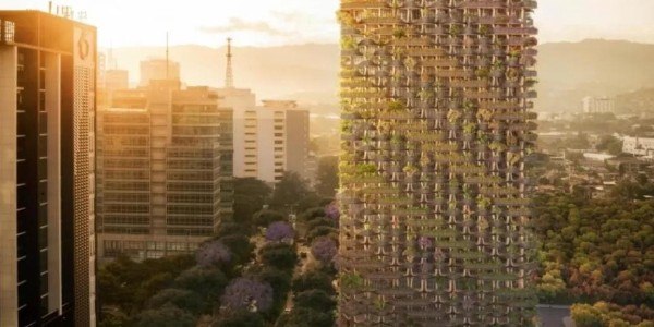 這才叫綠色建筑！用木頭代替鋼筋水泥，30000多植物栽在陽(yáng)臺(tái)！